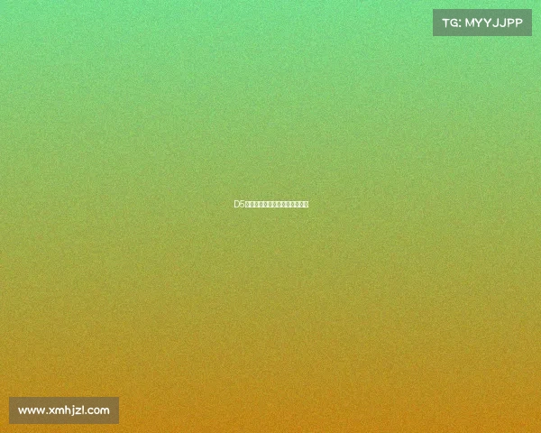 D5战队开启新征程，赛场风云再起